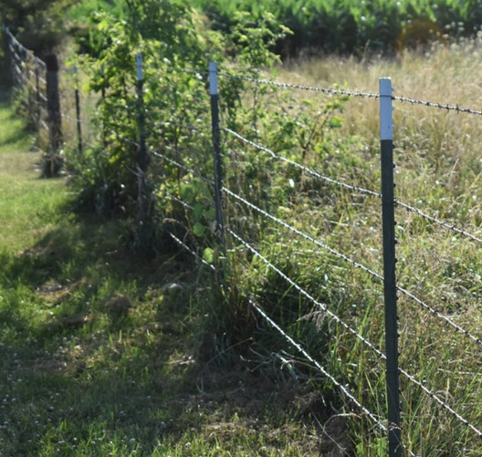 Factory Hot Dipped Galvanized Barbed Wire For Mesh Security Fencing 12.5 Gauge 18 Gauge PVC Coated Iron Barbed Wire