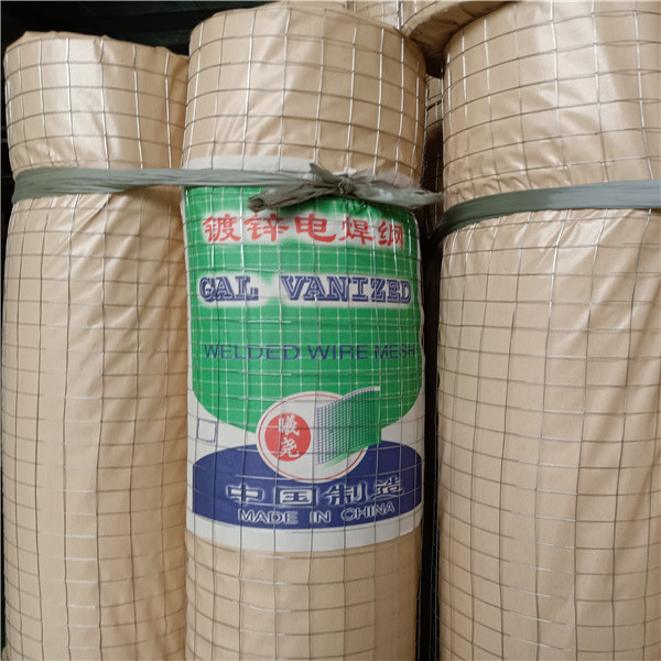 Wholesale Iron Hot Dipped Galvanised Welded Wire Mesh Roll 14mm from china suppliers