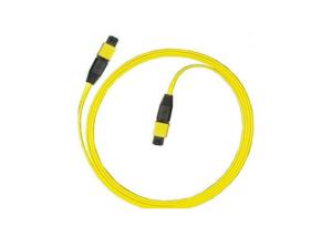 SM 24 Core Mpo Mtp Patch Cord , Fan Out Duplex Patch Cord For CATV / Computer Networks