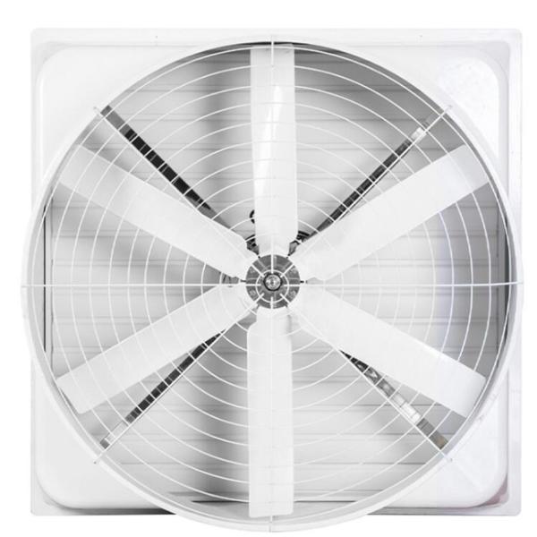 Chicken Fiberglass 650mm Ventilation Cooling Fan 370W Industrial Exhaust Fan
