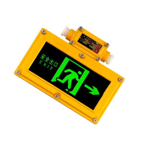 Automatic Lighting Explosion Proof Emergency Light 0.3S Emergency Start