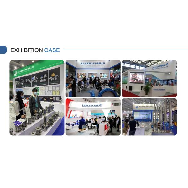 Versatile SS316 Internal and External Threaded Welded NPT BSPP BSPT G Threaded 3 Inch