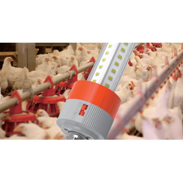 24 Watt Tri proof Lights For Poultry Farm T8 2/4/5/6ft IP66 Tube light