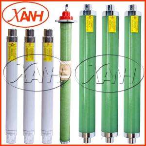 Wholesale High Voltage Limiting Current Backup Bay-O-Net Elsp Fuse Model Xrnt4-24 from china suppliers