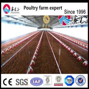 China Prefab Steel Structure Breeder Chicken Houses Agricultural Livestock House on sale