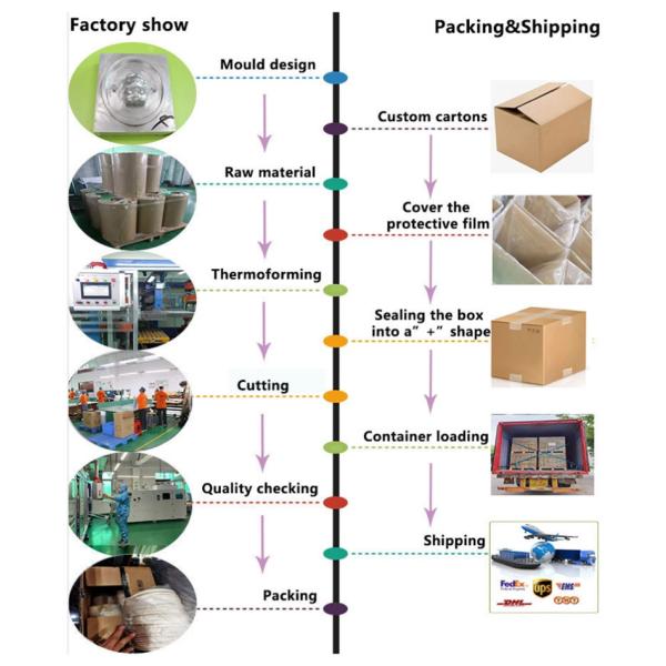0.25mm Thickness 3L Thermoforming Disposable Food Container