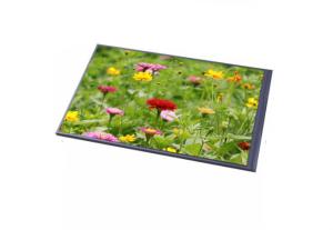 Wholesale Resistive 7 Inch Touch Screen Panel , Programmable LCD Display Touch Screen For Security Monitoring System from china suppliers