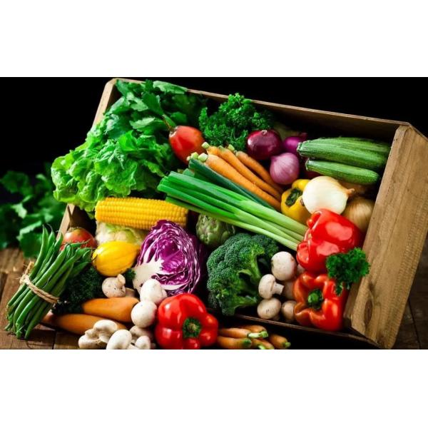 Hugecool Vegetables Frozen Lobster Seafood Chicken Freezer Walk in Cooler