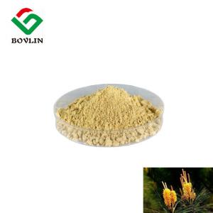 China CAS 90046-19-8 Pine Pollen Extract Powder Loss Weight In Bulk on sale