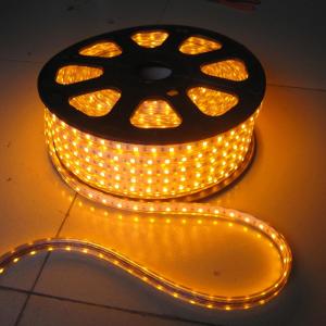 High Class SMD 5050 Single/RGB 220V/120V LED Strip Light High Bright Adversiting