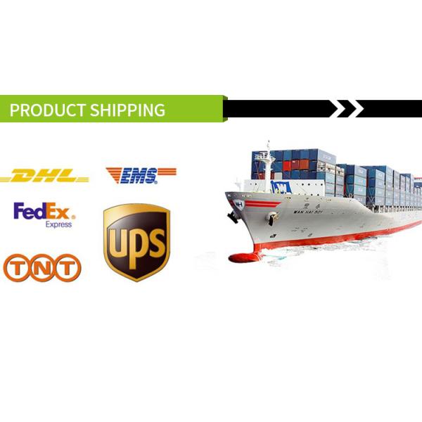 Safe Realistic Artificial Grass For Football Ground Stadium Sintetico