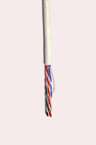 Quality Customized 24AWG Cat5e Utp Network Cable Without Coiled Back High Performance for sale