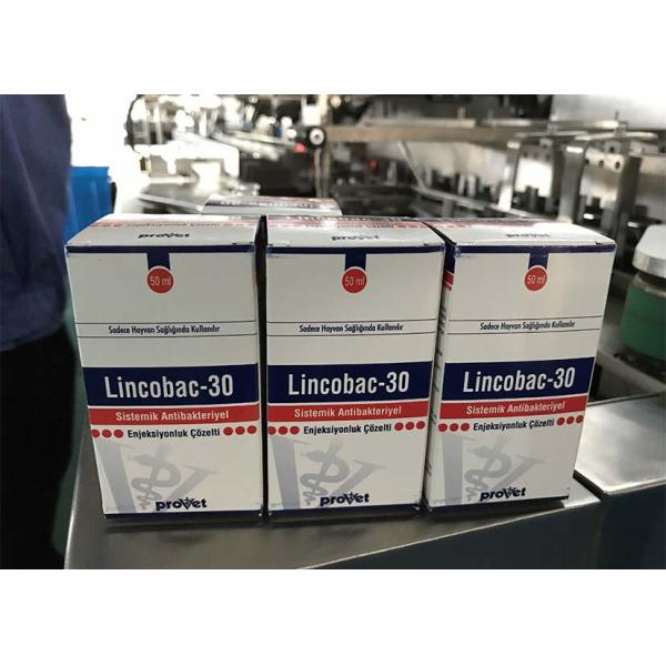 Stable Performance Bottle Packing Machine / Automatic High Speed Cartoning Machine