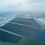 Tidal Flat Type Customized Solar Panel Ground Mounting Systems Hot Dip