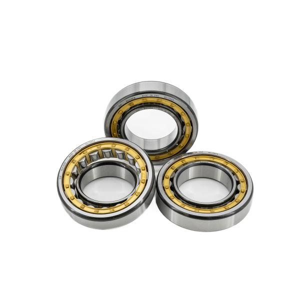Long Life 50*110*27mm N310 NJ310 NU310 NUP310 Cylindrical Roller Bearings