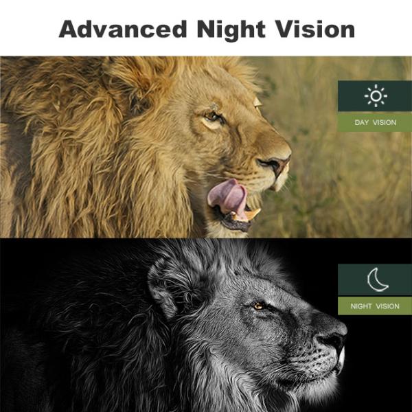 16MP 12VAC Night Vision Hunting Camera 1080P FHD IP66 Fixed Focus