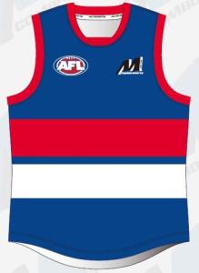 Wholesale Custom 4XL Afl Football Jumpers , 300gsm Afl Player Issue Guernsey from china suppliers