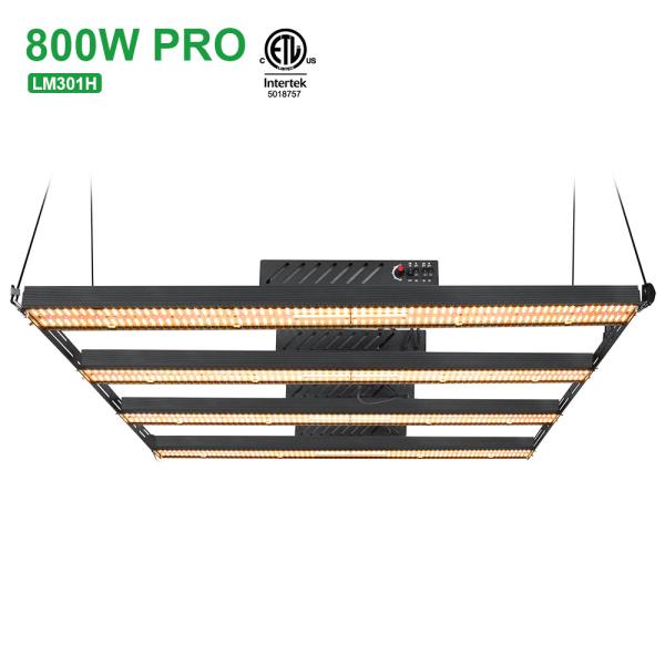 Quality 5*5ft 800W 22KG Dimmable Full Spectrum Led SAMSUNG LM301H Board for sale