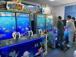 Age 5 Years Coin Pusher Go Fish Ticket Redemption Game Machine Customized