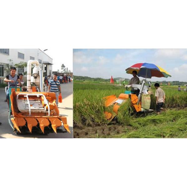 Four Rows Self-Propelled Mini Corn Combine Harvester Farm Machine 4LBZ-110 From China