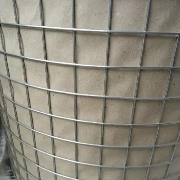 1/2*1m*14m Galvanized Steel Welded Wire Mesh Plain Weave