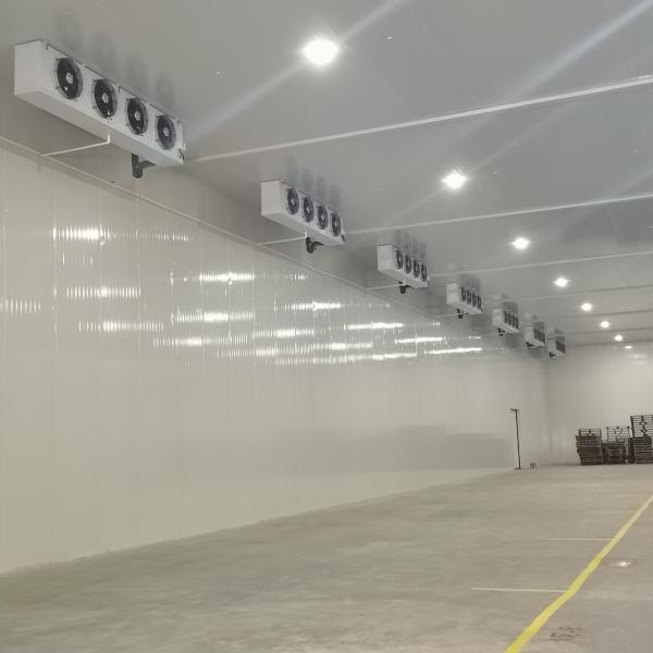 380V 220V Freezer Cold Room For Precise Temperature And Humidity Control