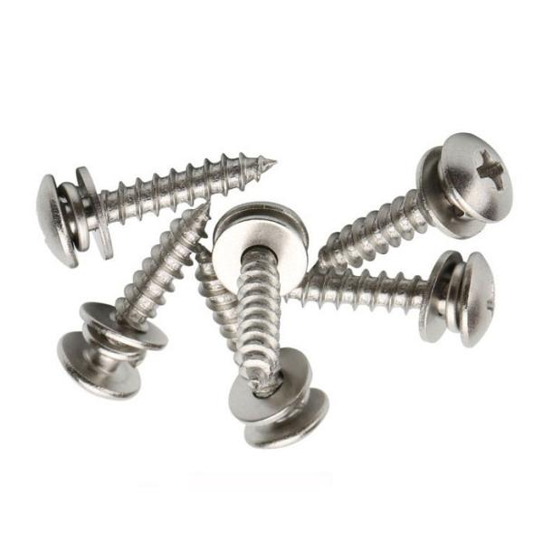 Customized Cross Recessed Pan Head Tapping Screw And Plain Washer Assembly
