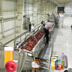Wholesale SUS 304 Apple Juice Processing Line Turnkey Projects Automation from china suppliers