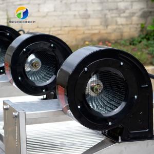 Customization Ozone Sterilization Fruit And Vegetable Processing Line Dry