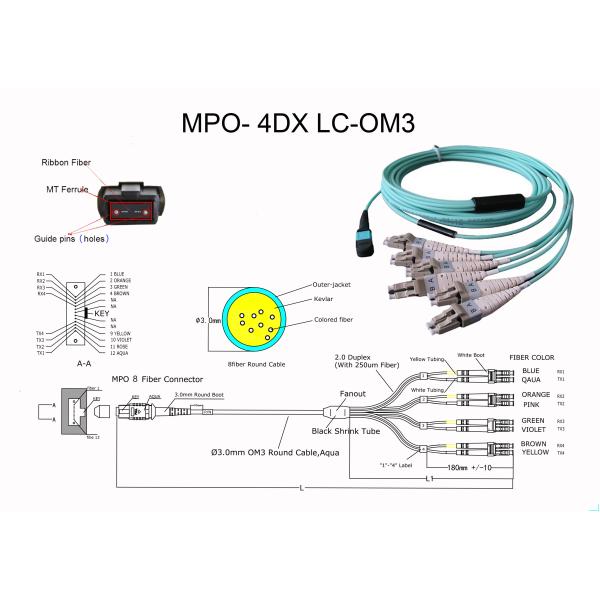 Break Out MTP MPO Patch Cord female to 6 DX LC 12 fiber LSZH type B blue