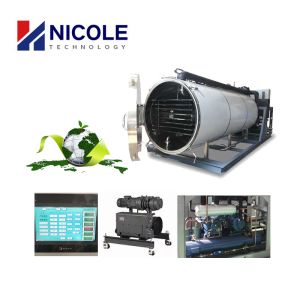 Wholesale Bio Tech Pharmaceutical Vacuum Freeze Drying Machine High Efficiency from china suppliers