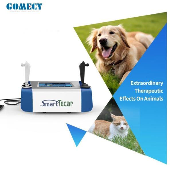 Portable High-Performance Radiofrequency Tecar Therapy Machine for Horse Sports Injuries - Advanced Physiotherapy Treatment