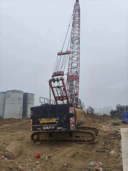Quality 2020 SANY 60t Crawler Crane in Stock for Sale for sale
