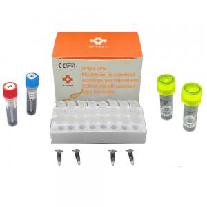 Wholesale African Swine Fever Porcine Test Kit ASFV Real Time PCR Rapid Test Kit from china suppliers