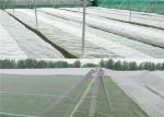 Recyclable Stronger Hex Mesh Insect Netting Mesh High Tensile Strength