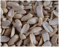 1000kg/h Split Peanut Peeling Machine Processing Plant High Breaking Rate