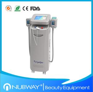 Hot!!!Two handles Cryolipolysis slimming machine(can work at the same time)with best price