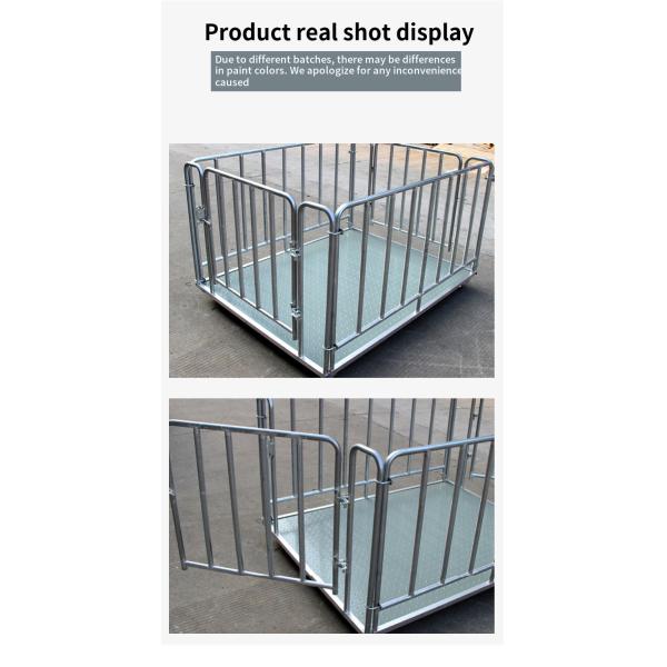 OEM ODM Supported Digital Weight Scale for Waste Recycling Industry Customized OLED Display Weighing Range 1000kg 3000kg