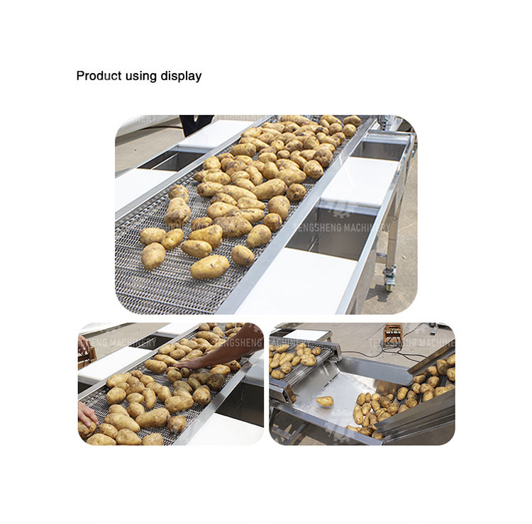 Automatic Vegetable Sorting Machine Selection Table Food Processor