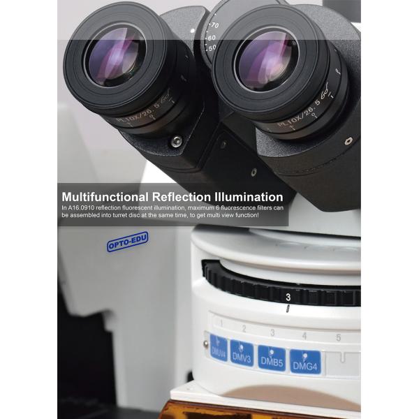 Trinocular Infinity Optical Fluorescence Microscope With Halogen Lamp