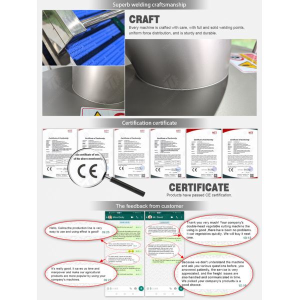 SS 380V Industrial Vegetable And Fruit Washing Machine