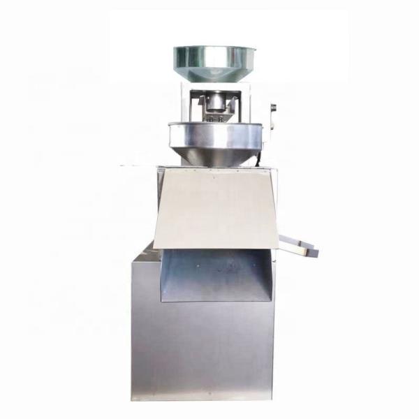 New Design Steel Oil Extracting High Efficient Peanut Oil Press Machine