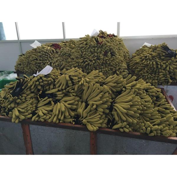 Protect Your Hands in Style with LX4001 CE Yellow Latex Fully Coated Knit Wrist Gloves