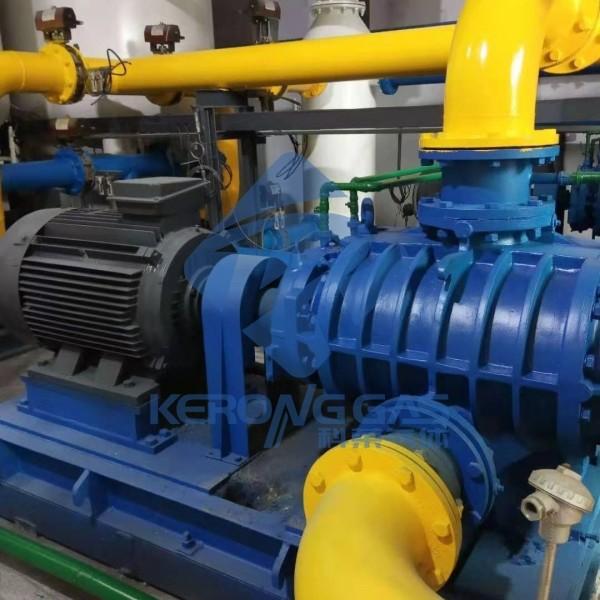 Quality 90% Purity Low Pressure VPSA Oxygen Generator Unit Compact Sized for sale
