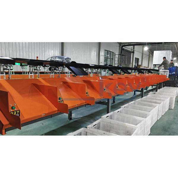 High Precision Tilt Tray Sortation Machine Customized For Various Items Space Saving