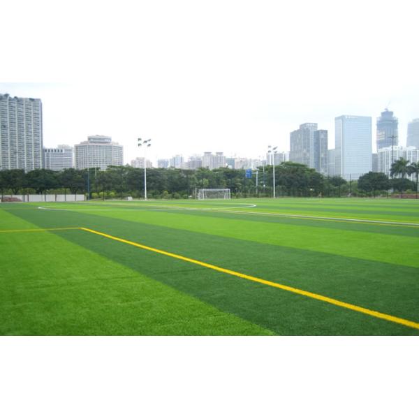 Biocolor Anti Corrosive Artificial Grass Football Field For Playground