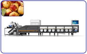 Wholesale Fresh Jujube Junzao Dates Sorting Machine 4 Channel Optical Sorter Machine from china suppliers
