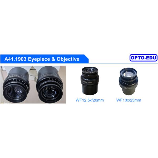 8x Eye Surgery Microscope A41.1903 50mm - 80mm Interpupillary Distance