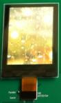 Customize OEM 1.66" Bendable 262K 24 Pin PM OLED Screen Display Module