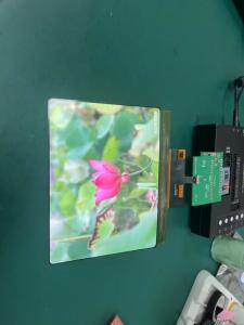 Wholesale 8 Inch AMOLED OLED Display With Touch Panel 1860×2480 Resolution MIPI Interface 430cd/m2 Driving IC RM69380 from china suppliers